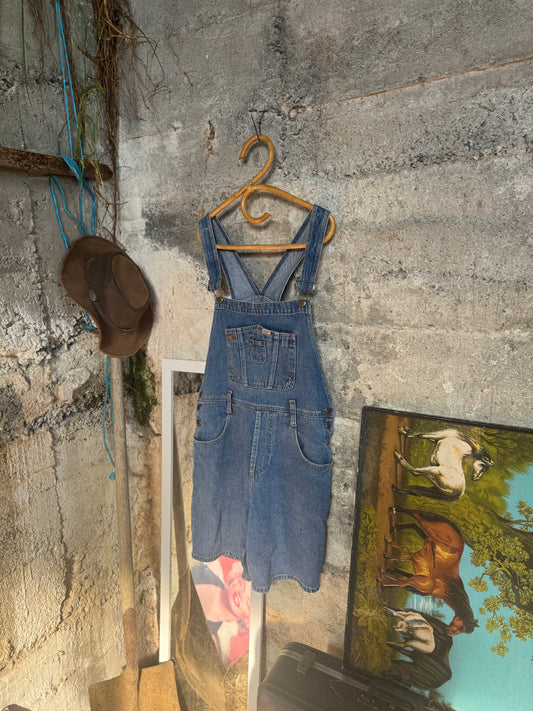 XLNT Dungarees
