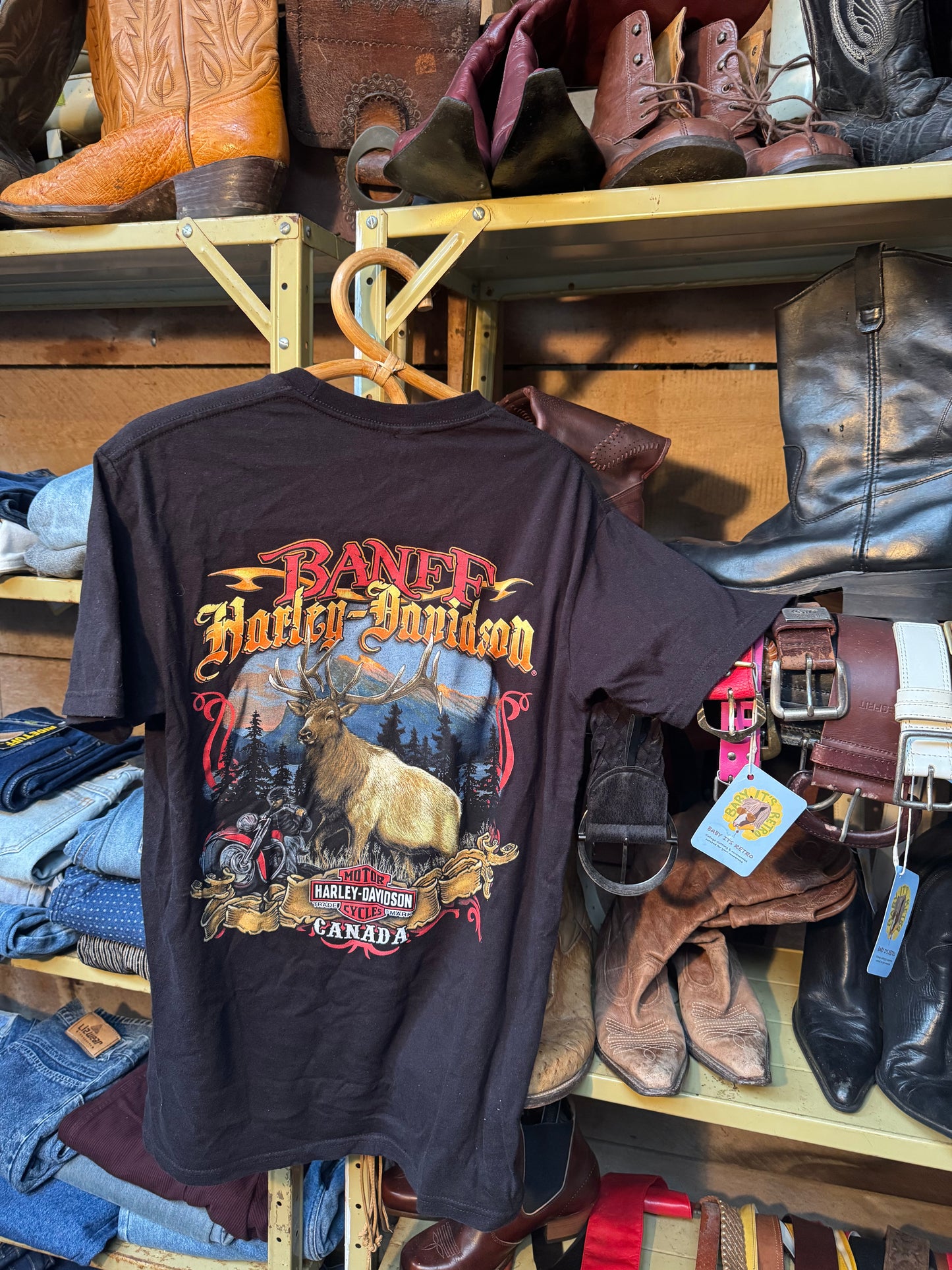Harley Davidson Tee shirt