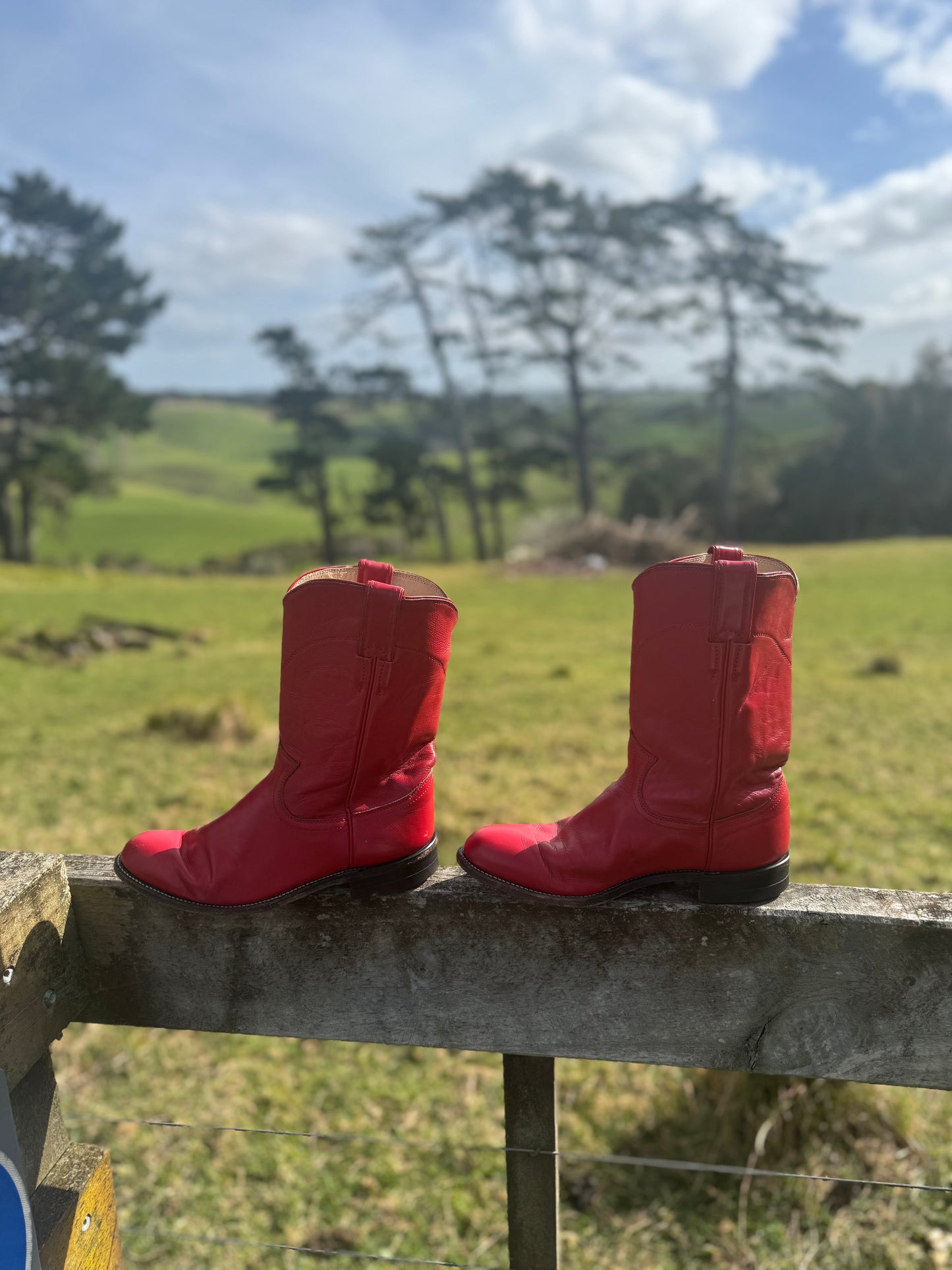 Cowboy boots