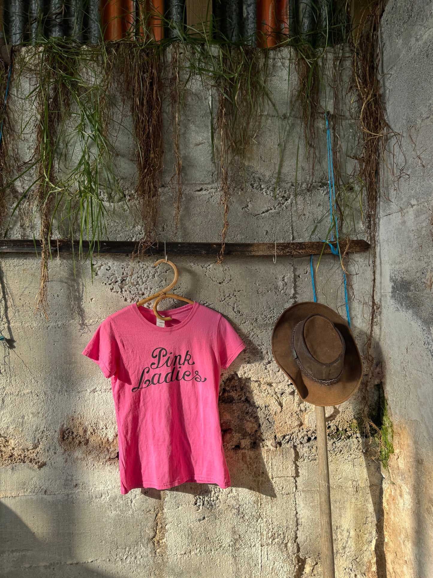 Pink ladies T shirt