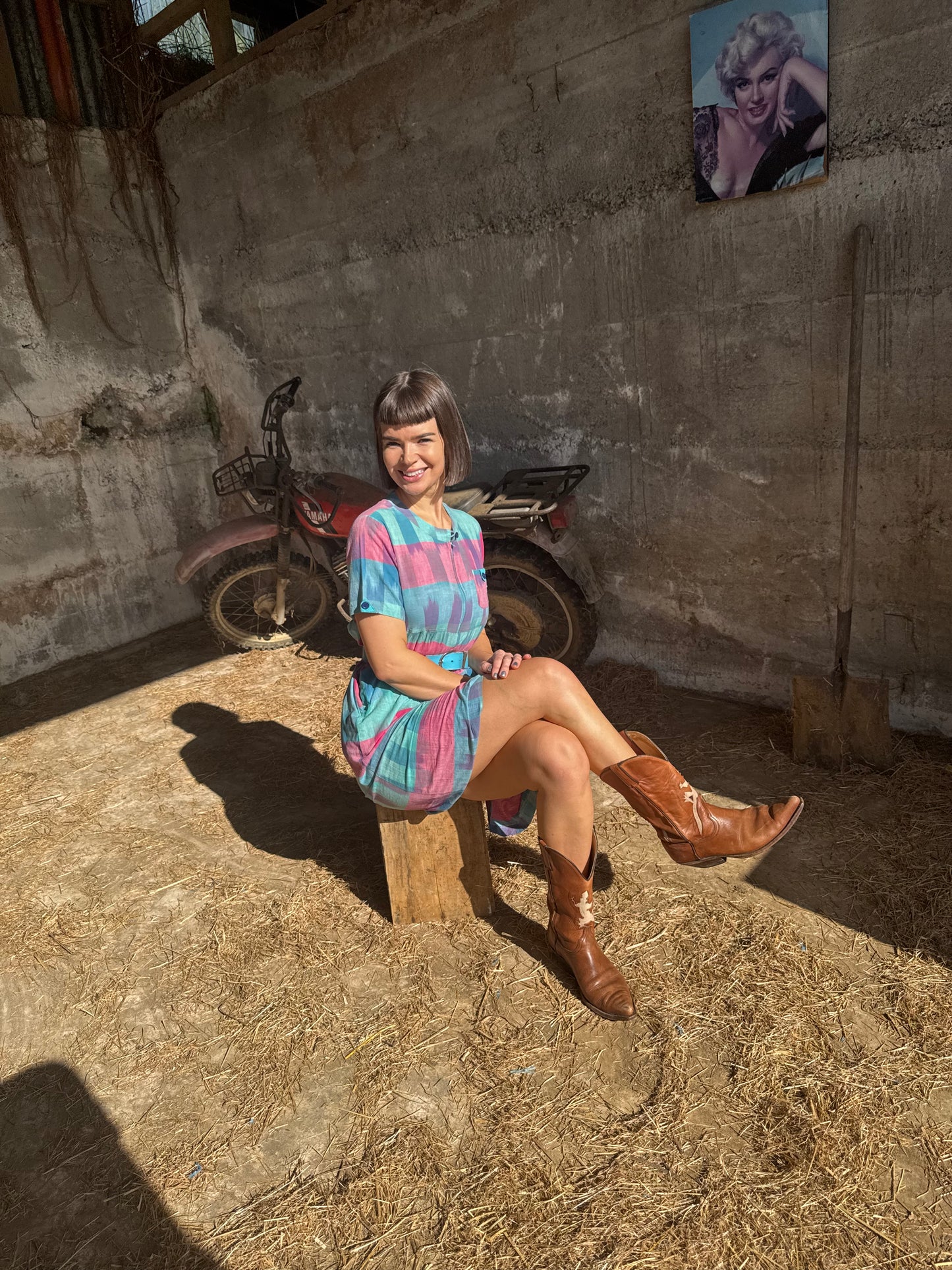 Vintage plaid dress