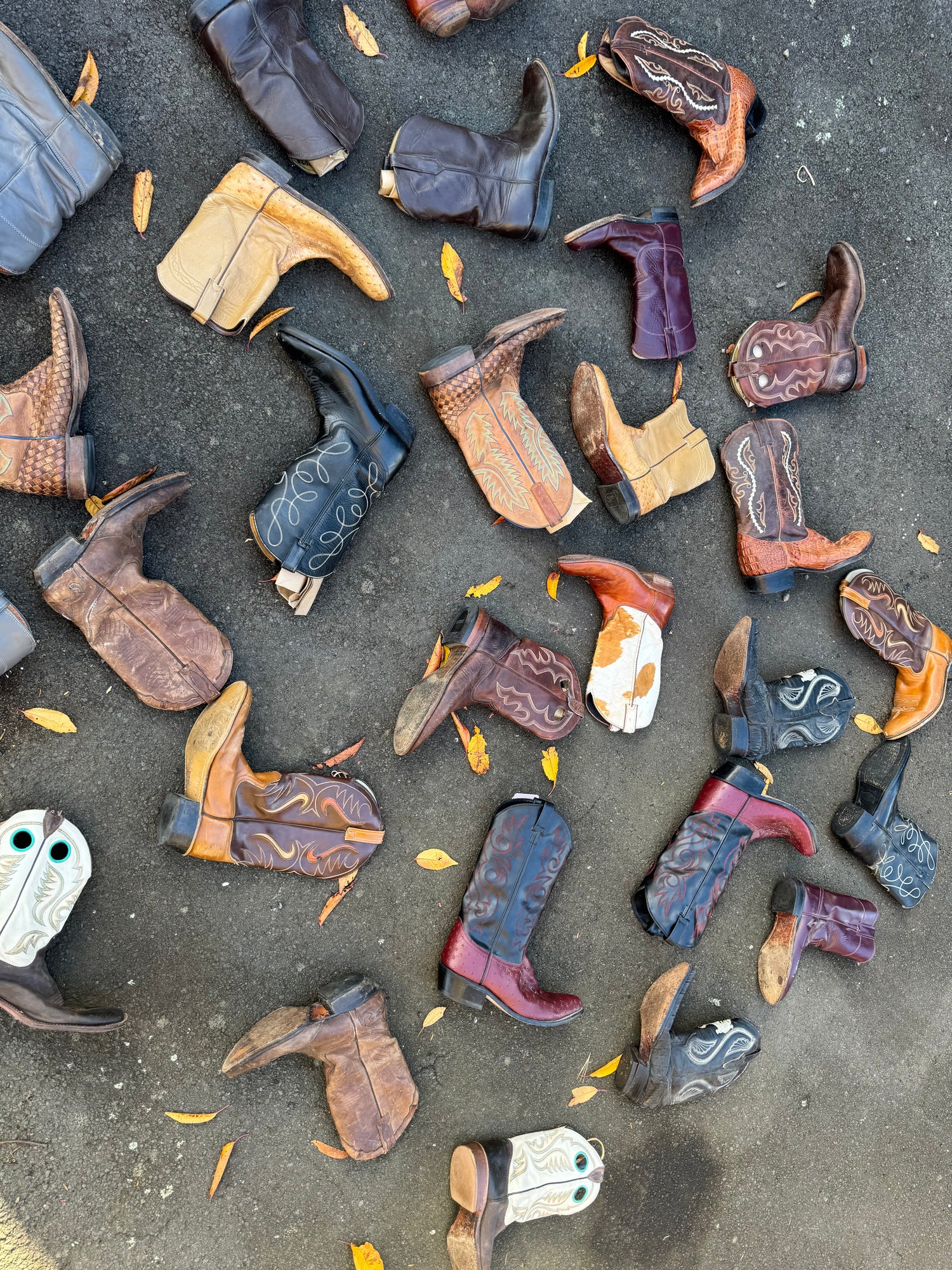 Vintage cowboy boots