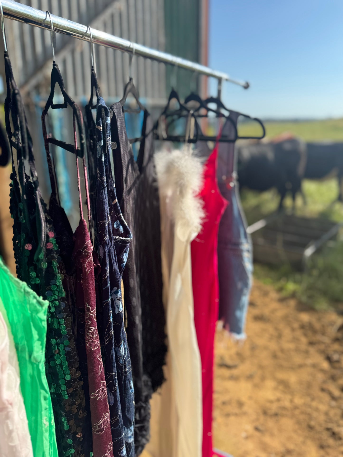 Early 2000s gown (detachable feathers)