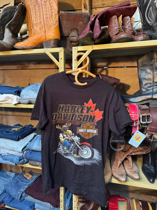 Harley Davidson Tee shirt