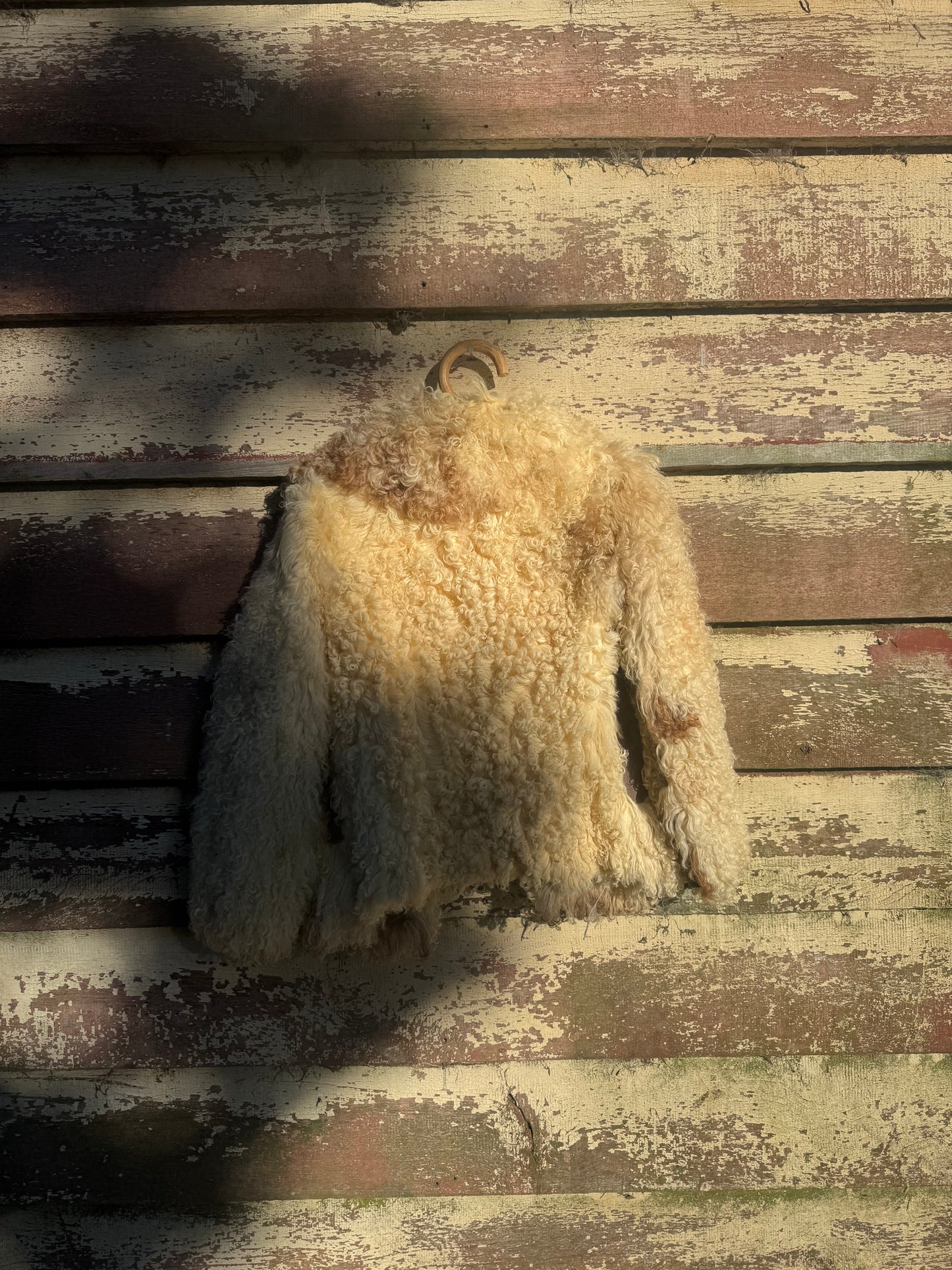Sheep skin jacket