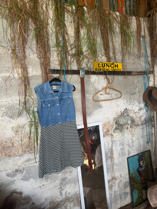 Denim check vintage dress